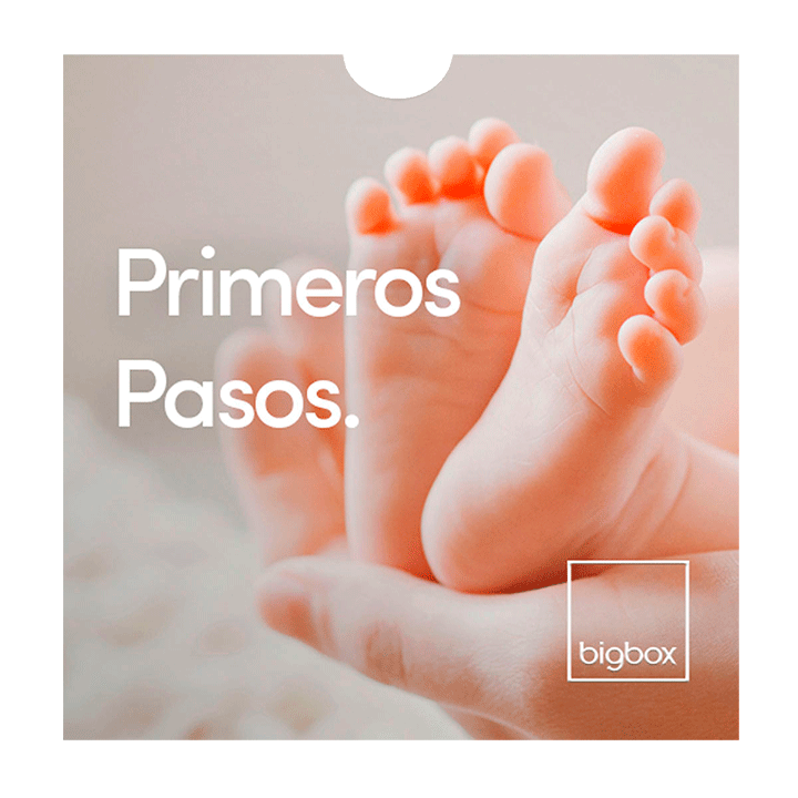 Primeros Pasos. Bigbox®